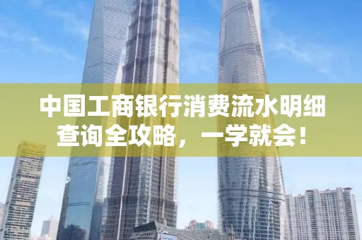 中国工商银行消费流水明细查询全攻略，一学就会！