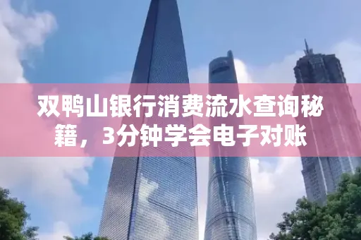 双鸭山银行消费流水查询秘籍，3分钟学会电子对账
