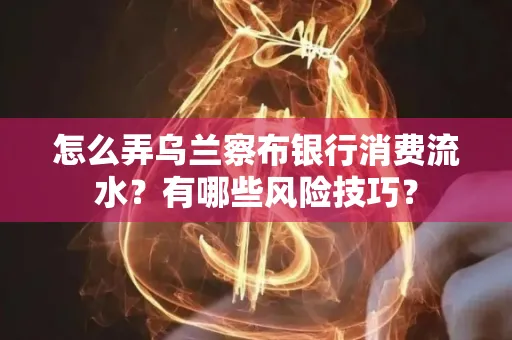 怎么弄乌兰察布银行消费流水？有哪些风险技巧？