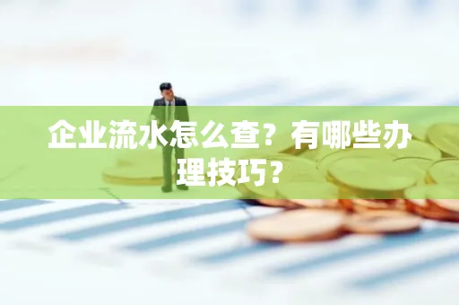 企业流水怎么查？有哪些办理技巧？
