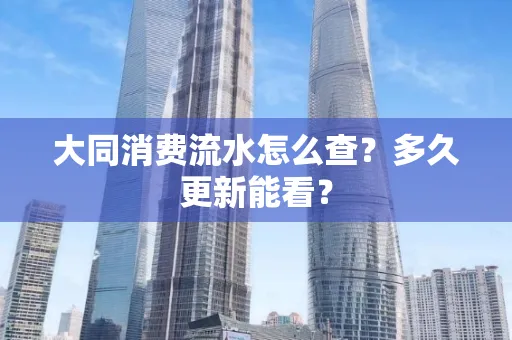 大同消费流水怎么查？多久更新能看？