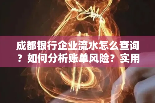 成都银行企业流水怎么查询？如何分析账单风险？实用指南