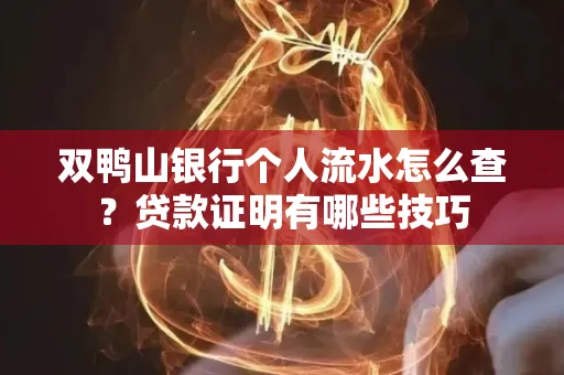 双鸭山银行个人流水怎么查？贷款证明有哪些技巧
