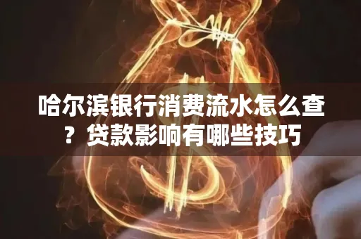 哈尔滨银行消费流水怎么查？贷款影响有哪些技巧