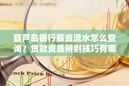 葫芦岛银行薪资流水怎么查询？贷款资质辨别技巧有哪些？