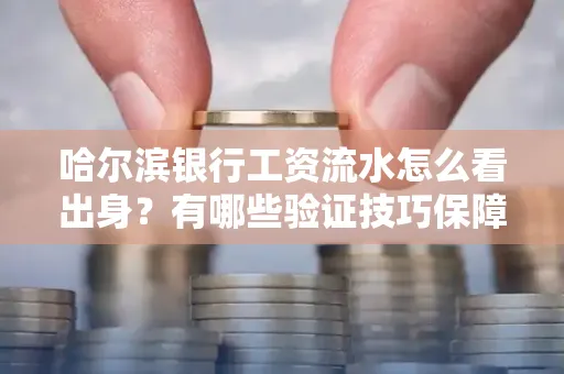 哈尔滨银行工资流水怎么看出身？有哪些验证技巧保障贷款过关？